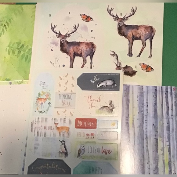 Nature Themed Card and Paper Crafting Kit - Picture 10 of 10